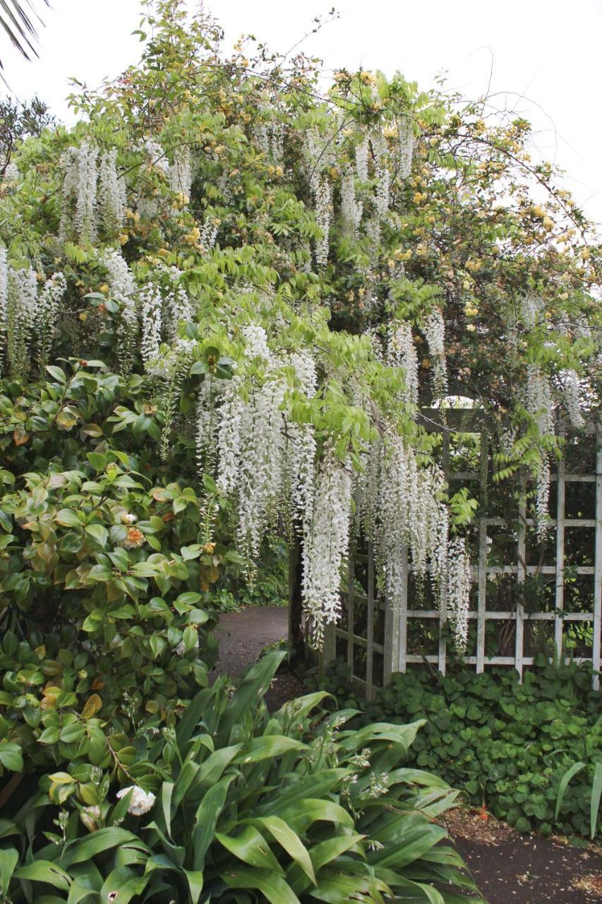 Browns Boutique Bed And Breakfast Whanganui Luaran gambar